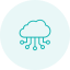 SaaS Development